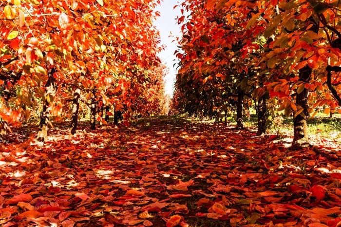 33026622_10156427183904439_6032754507555799040_o